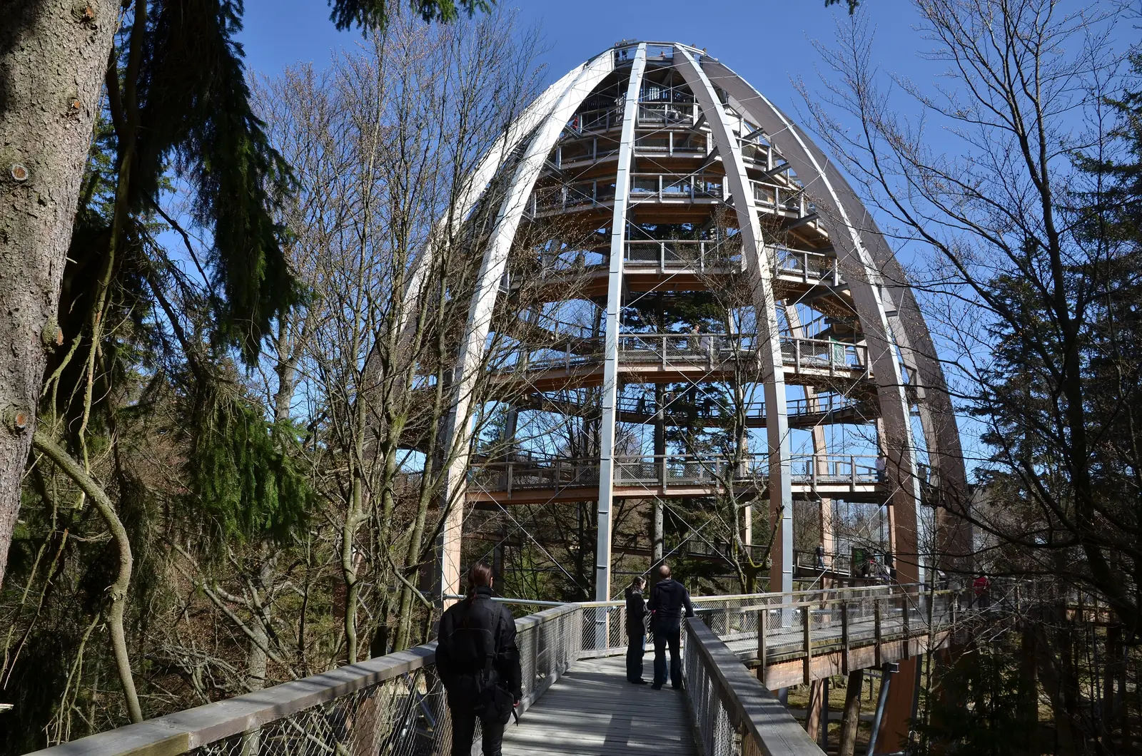 Der eiförmige Baumturm in Neuschönau, ein Holzsteg führt darauf zu